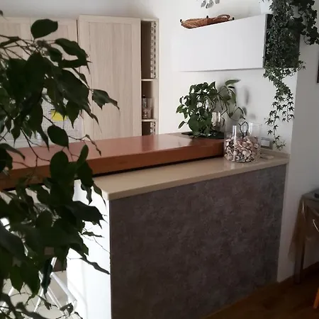 The House *